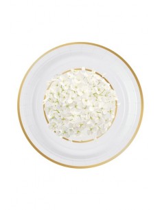 piatto-ortensia-fedi-dm-18cm-8-pz