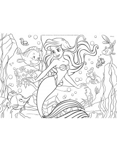 ariel-puzzle-df-m-plus-48 2